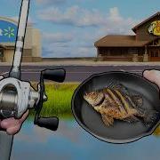 Bassss