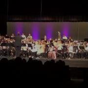 Bartok Variations