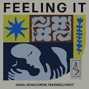 Feeling It Tim Engelhardt Maga Sean Doron