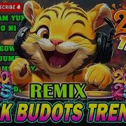 New Tiktok Remix