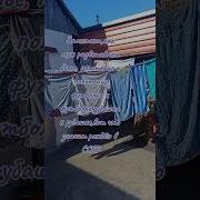 Родом Из Ссср