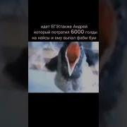 Мем Аркана Аркана