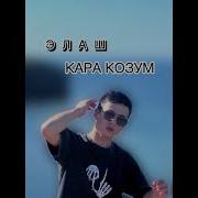 Элаш Кара Козум