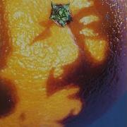 Mango Song