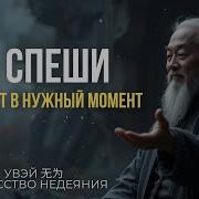 Почему Успе Приходит Когда Вы Перестаёте Искать
