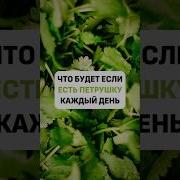Петрушка