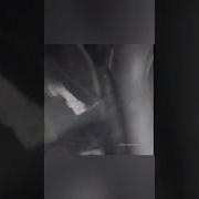 Здравствуйте Меня Зовут Максим