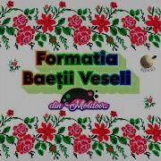 Baetii Din Moldova Frate Frate