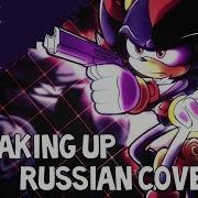 Shadow The Hedgehog Russian Cover