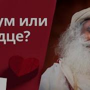 Обретите Мудрое Сердце
