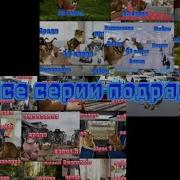 Тигренок И Его Друзья 2 Серия Все Грехи И Ляпы