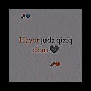 Juda Xam Chiroyli Manzarali Suratlar