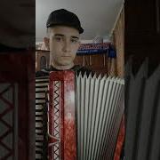 Бумер На Аккордеоне На Баяне Bumer Music Accordion Songs Bmw Cover