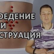 Сыроедение