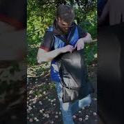 Яблоки Соберу