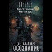 Сталкер Осознание Андрей Левицкий Алексей Бобл