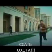 Стой Сука Сам Стой Сука