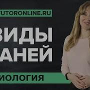 Начальная Школа Окружающий Мир Растительная Клетка И Растительные Ткани