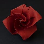 Rose Flower