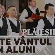 Bate Vantul Prin Aluni