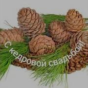 Поздравление Родителям На 49 Лет Свадьбы