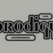 Prodigy Pain