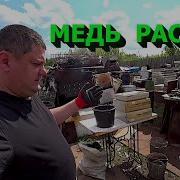Кучо Кучо