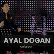 Ayal Dogan