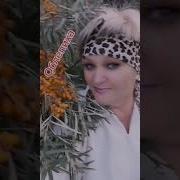 Минус Золотая Облепиха