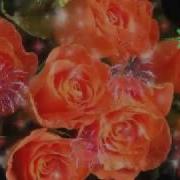 С Днем Рождения Любимая Школа