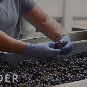 Winery