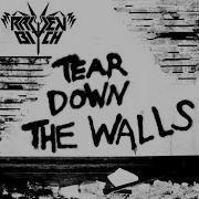 Raven Bitch Tear Down The Walls