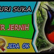 5 Masteran Yang Disukai Juri
