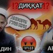 Фазлур Рахмони Ансори