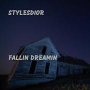 Fallin Dreamin Stylesdior