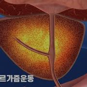 드라이 자위