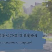 Шум Городского Парка