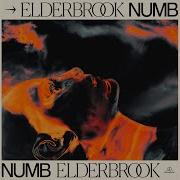 Numb Elderbrook Vip Elderbrook