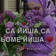 Чеченская Песня На День Рождения Сестре