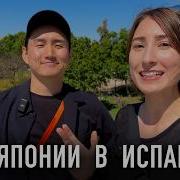 Моя Лайки Анкета