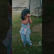 Bara Bara Tiktok