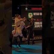 Cobra Kai Tournament