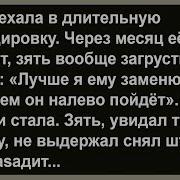 Тёща Решила Заменить Зятю Дочь Сборник Анекдотов Юмор Позитив