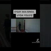Аминга Сикай Фохиша