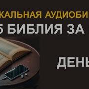 День 43 Библия За Год С Митрополитом Иларионом Библейский Ультрамарафон Портала Иисус