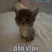 Я Пытался Быть Как Вы Speed Up
