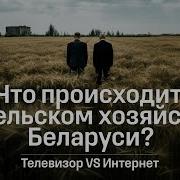 Сельское Хозяйство В Беларуси