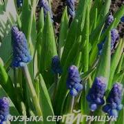 Этот Сказочный Мир Грищук