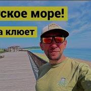Береги Берега