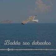 Magool Shibiryahow
